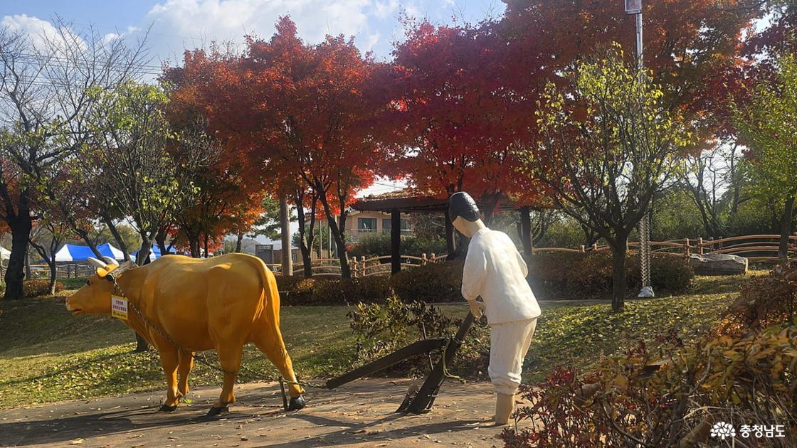 소로 쟁기질하는 모습