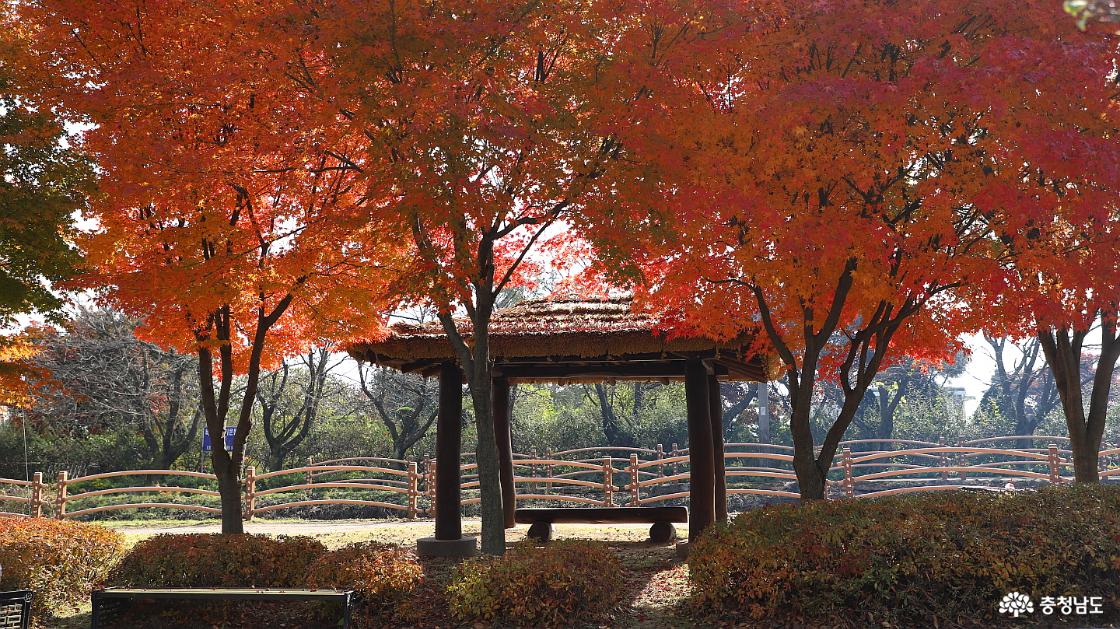 단풍이 곱게 물든 공원 쉼터의 모습