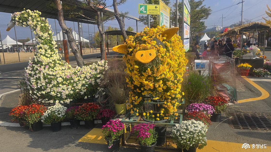 국화꽃으로 만든 돼지와 황새의 모습