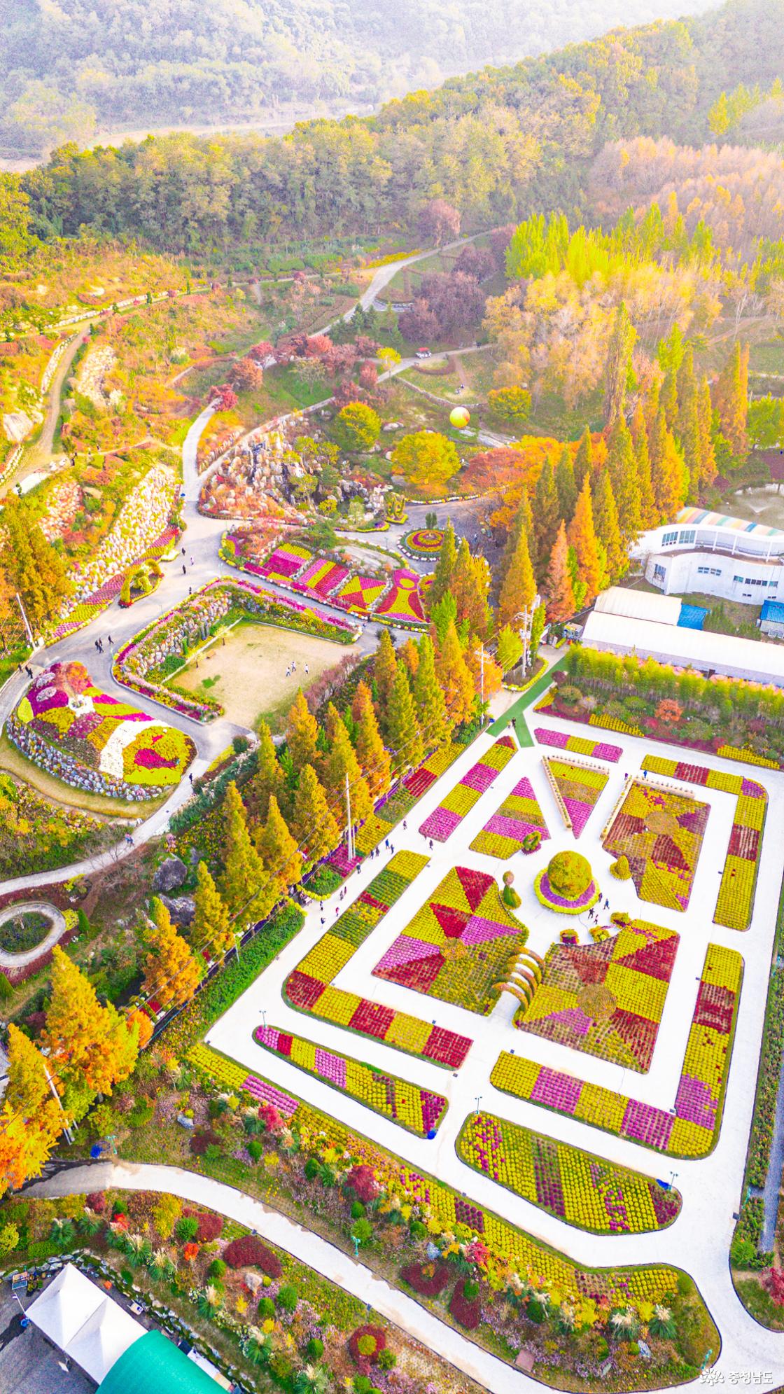 아산 가볼만한곳 피나클랜드 국화축제 소개