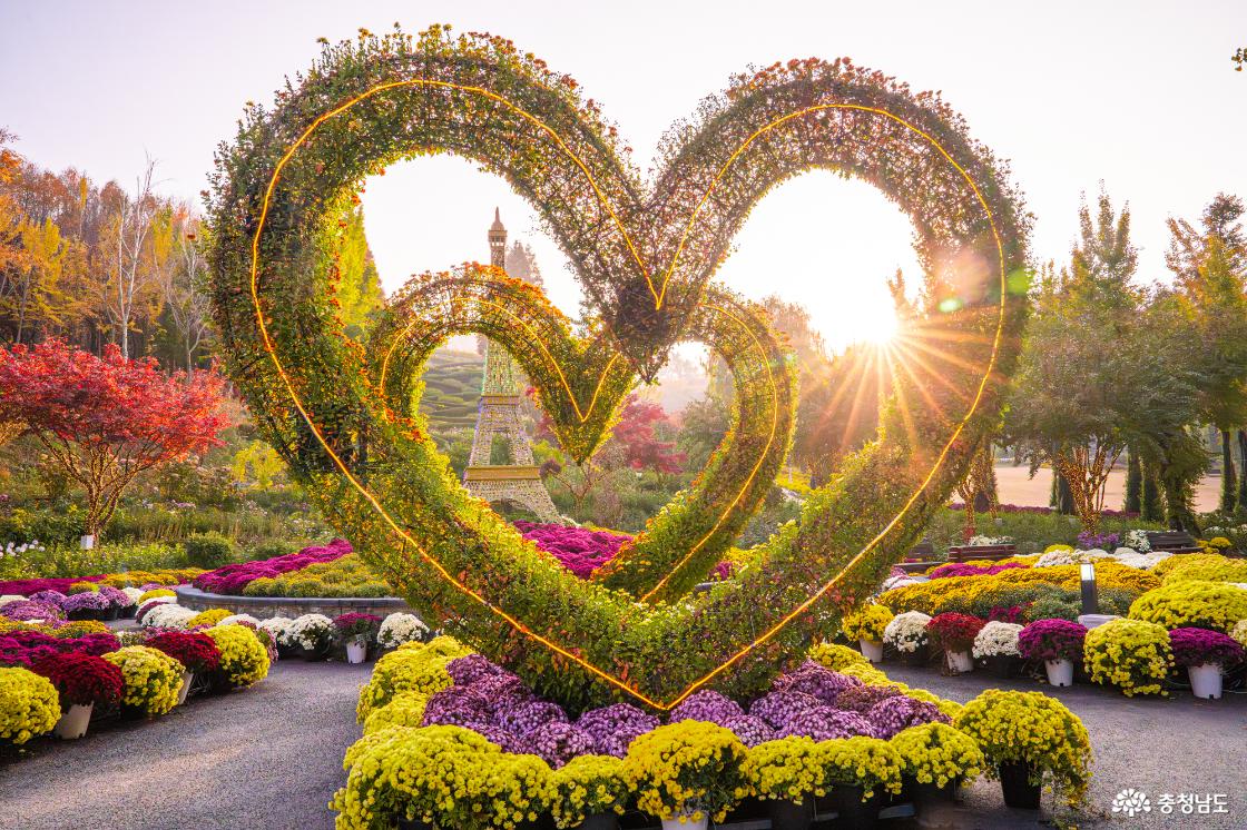 아산 가볼만한곳 피나클랜드 국화축제 소개