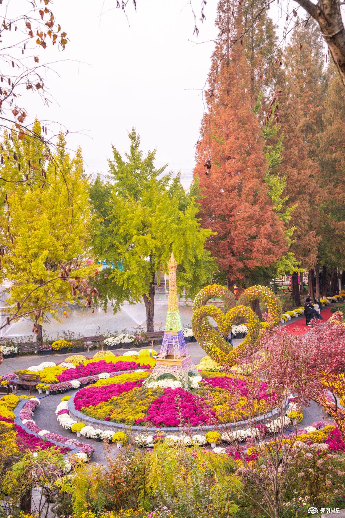 아산 가볼만한곳 피나클랜드 국화축제 소개