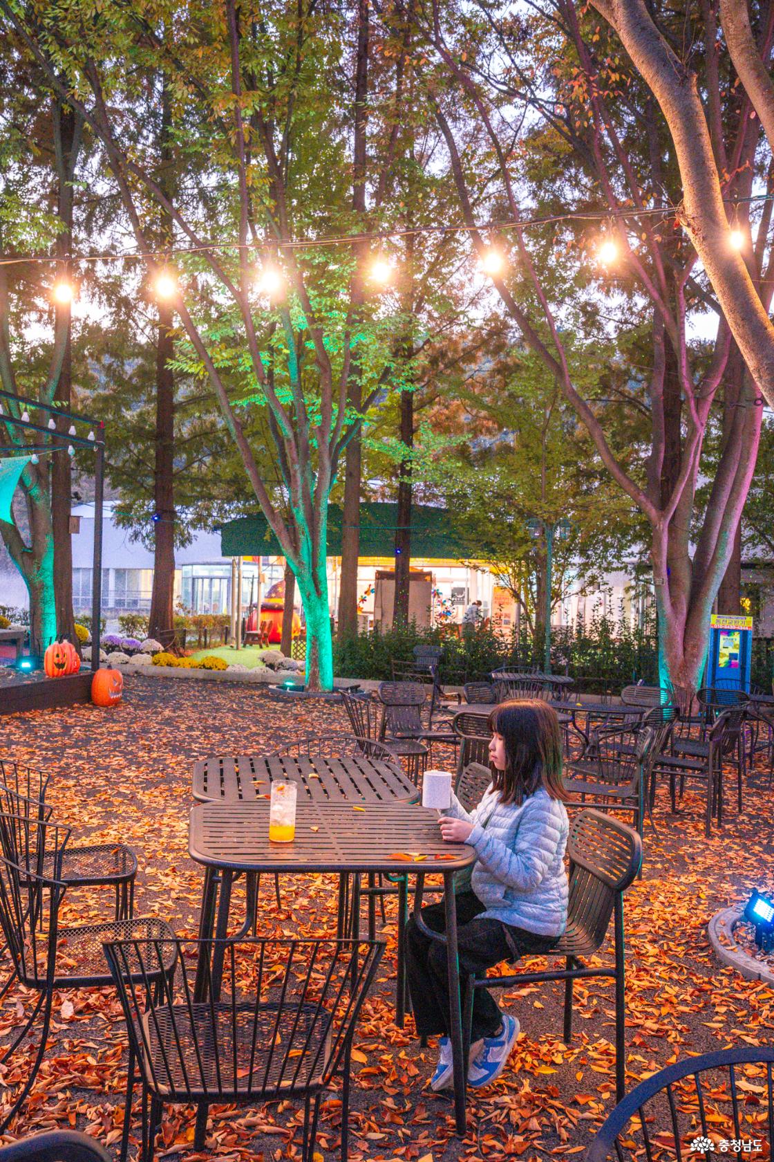 아산 가볼만한곳 피나클랜드 국화축제 소개