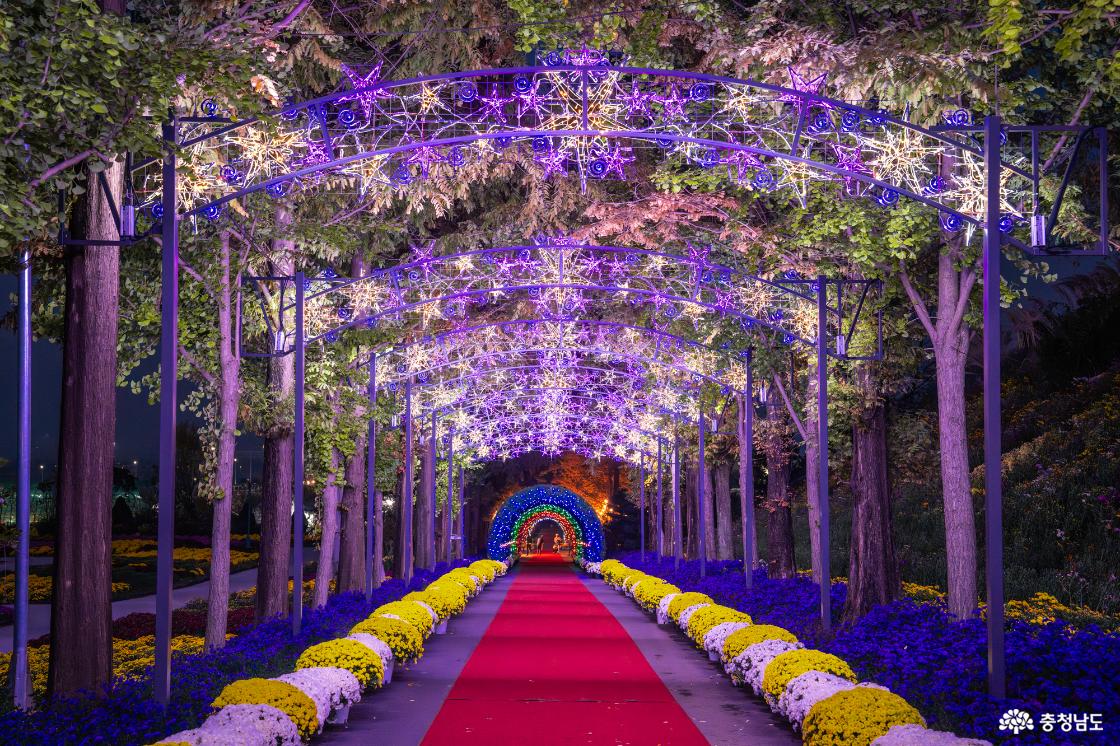 아산 가볼만한곳 피나클랜드 국화축제 소개