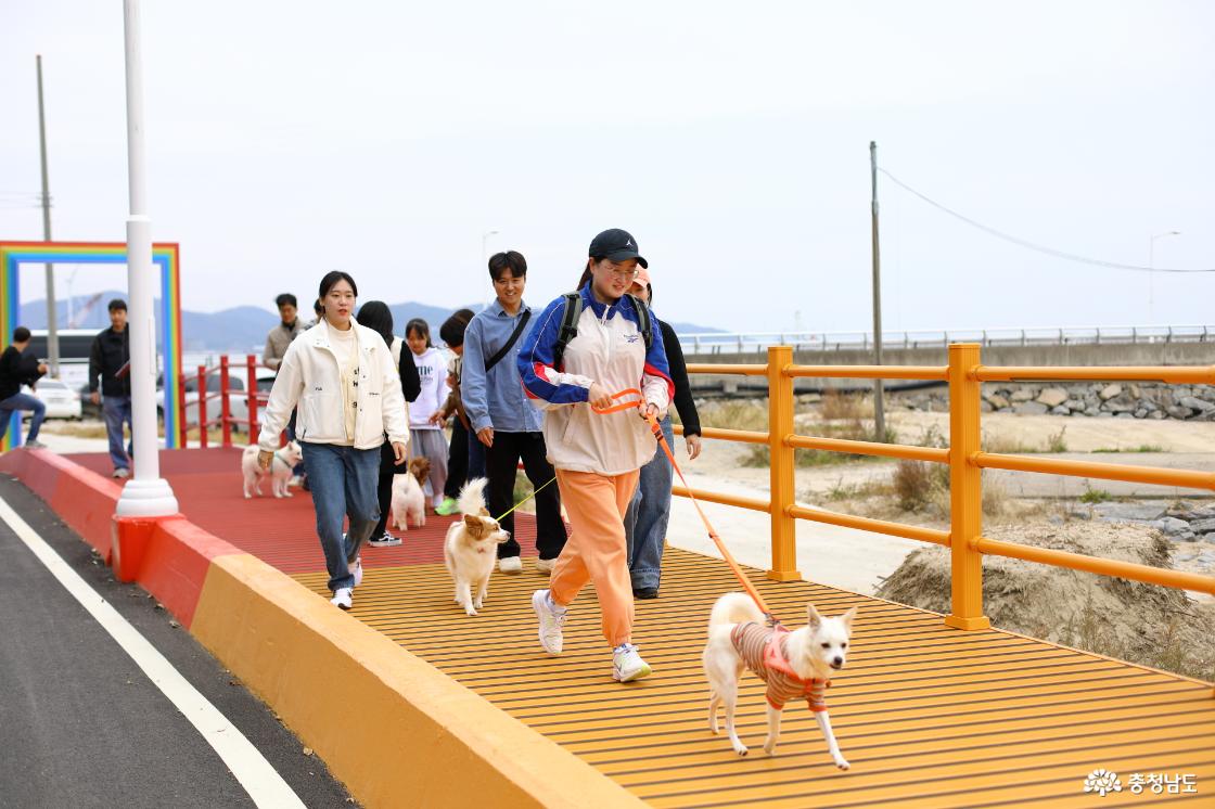 포토그래퍼와 댕댕포토북 만들기