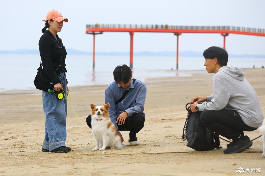 포토그래퍼와 댕댕포토북 만들기