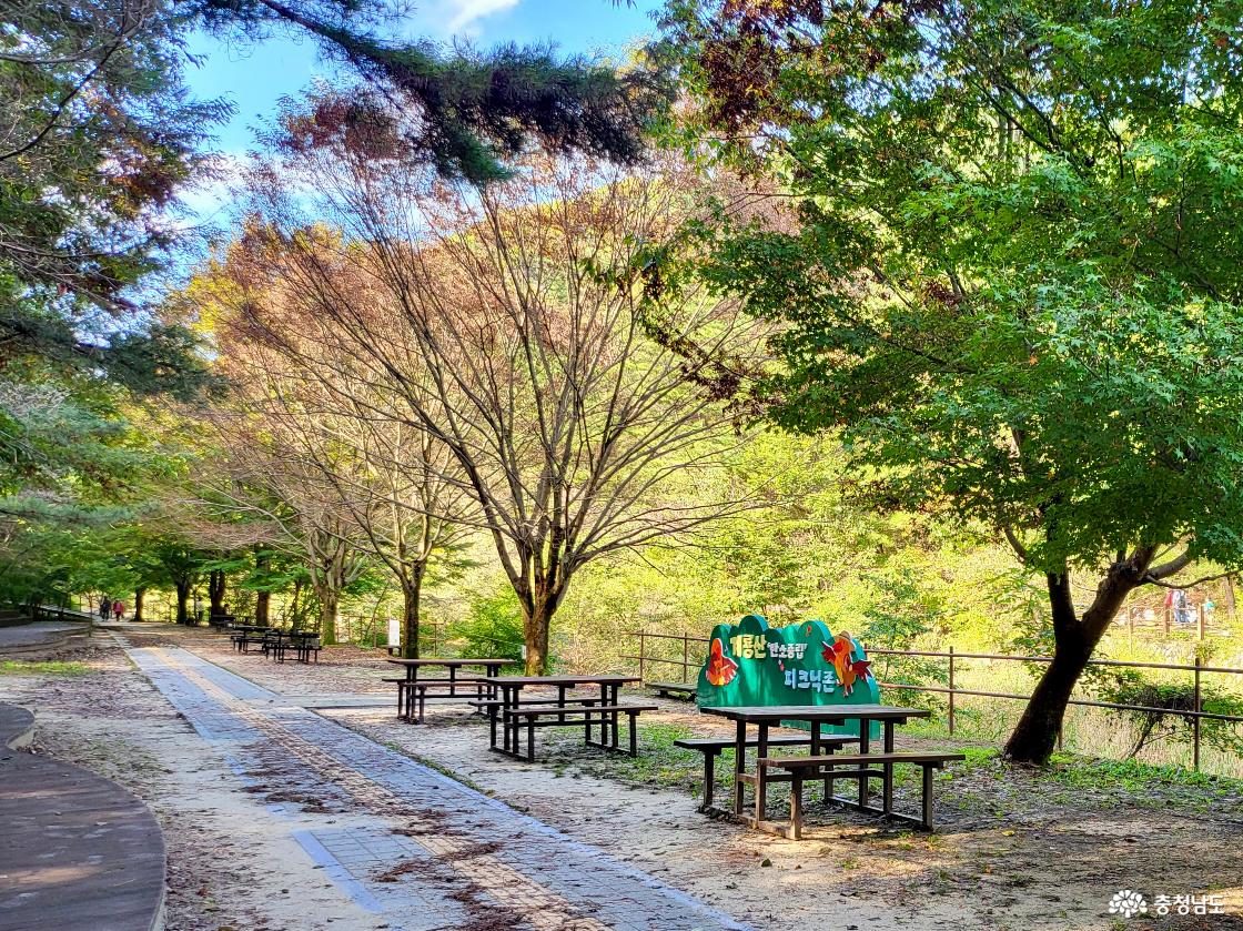 ‘계룡산 탄소중립 숲 속 쉼터’ 피크닉 세트 대여 서비스 시범 운영