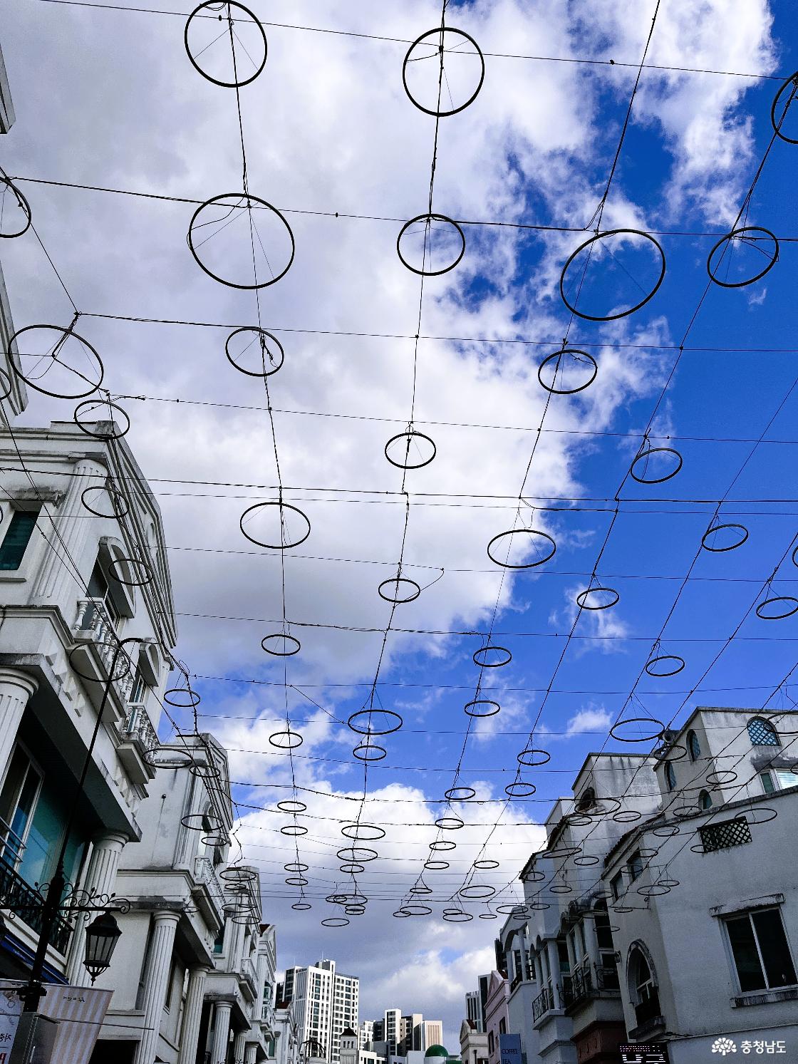 아산 지중해마을, 가을 국화향에 물들다