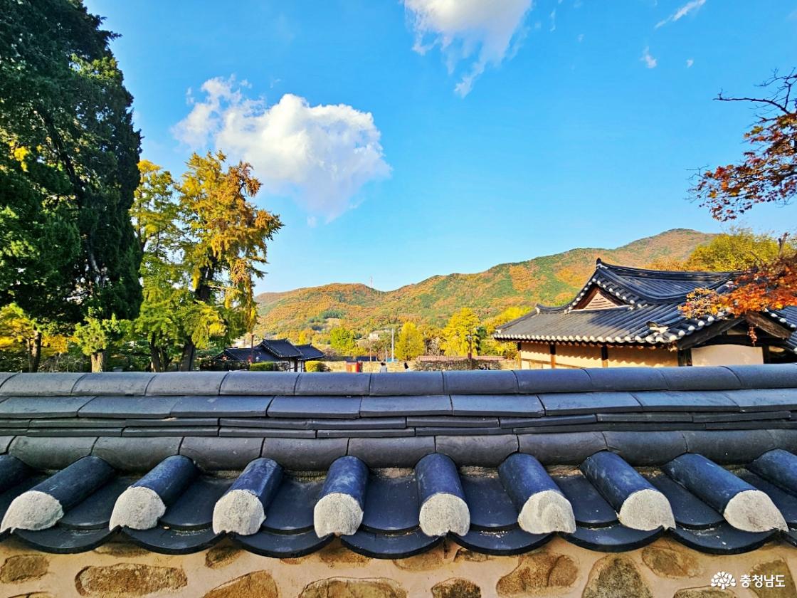 돌담 너무 풍경