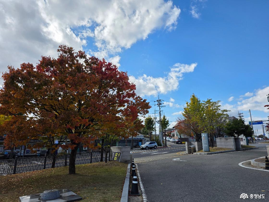 백제의 아름다움을 찾아서 떠나는 국립부여박물관
