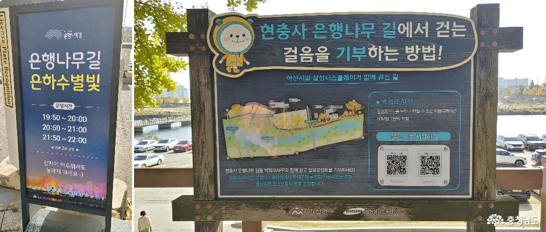 은행나무길, 은하수 별빛 / 걸음을 기부하는 방법