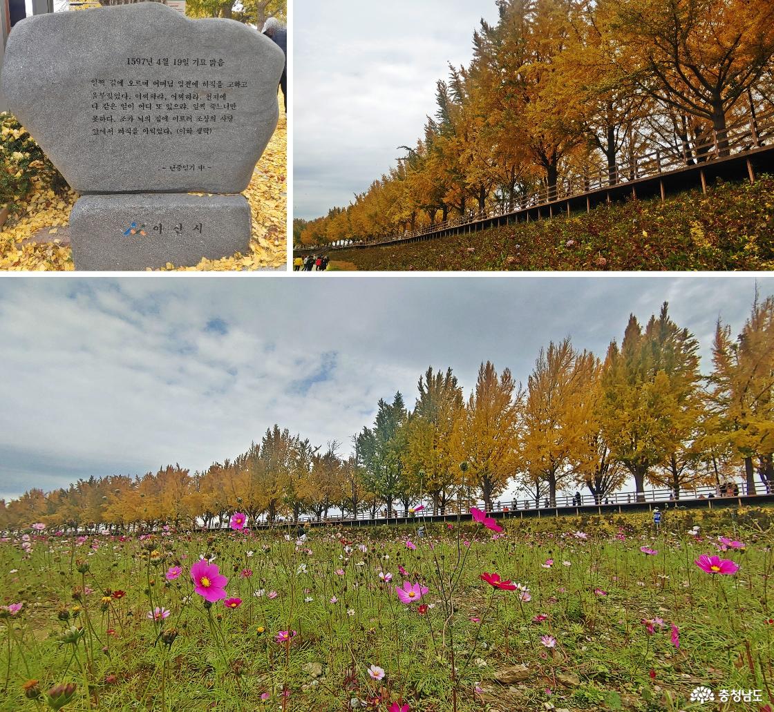 2024년 11월 17일, 나흘째 내리던 가을비가 걷힌 일요일 오후