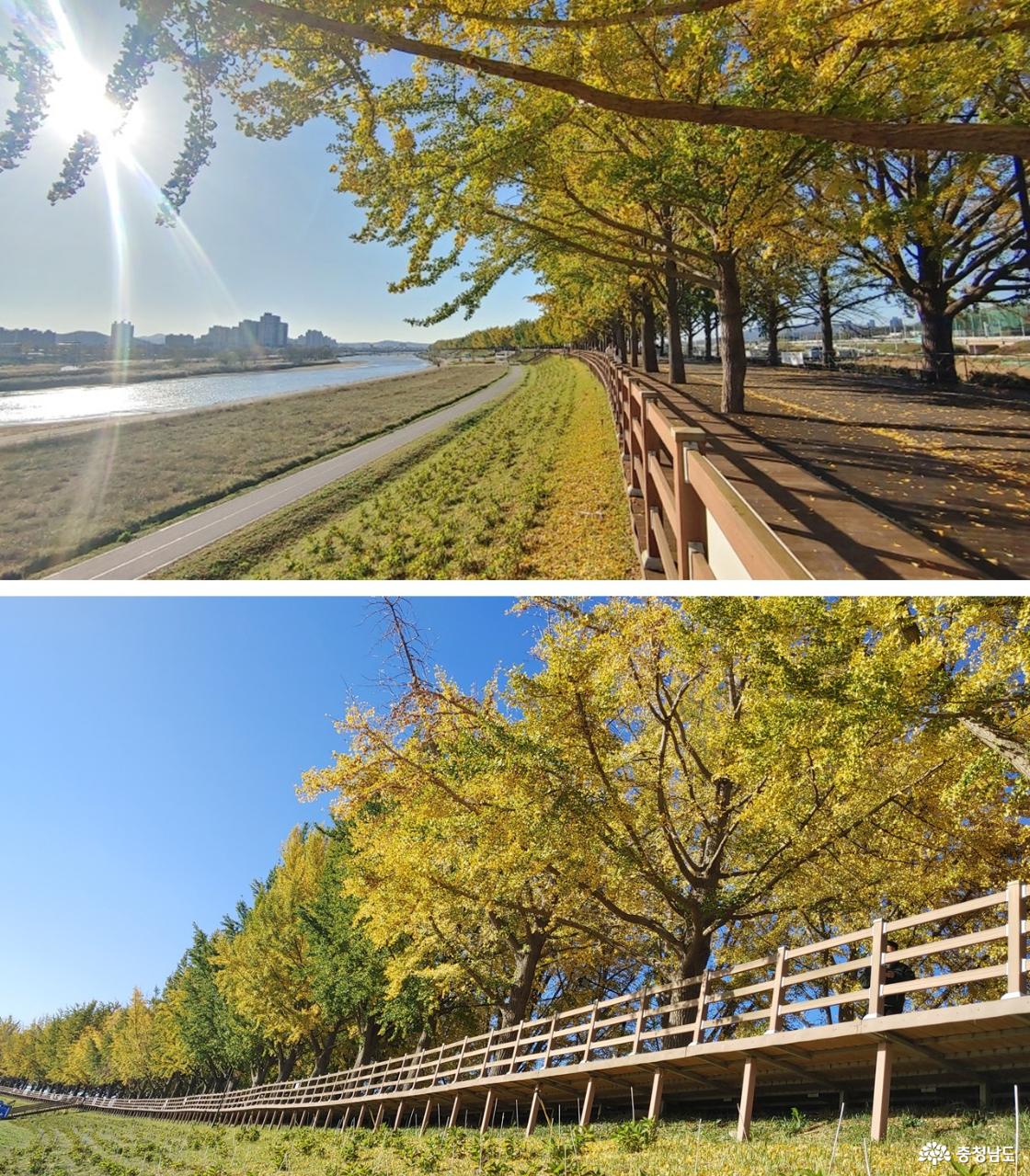 2023년 11월 첫 주말, 가을비 그친 오후 - 느티 전망대 쪽에서 바라본 풍경