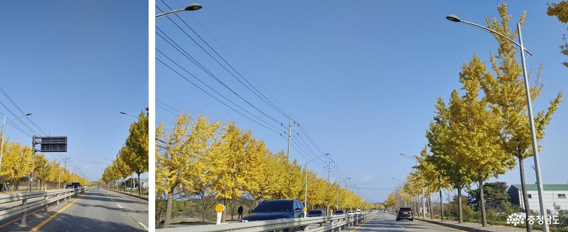 곡교천 마을 근처 대로