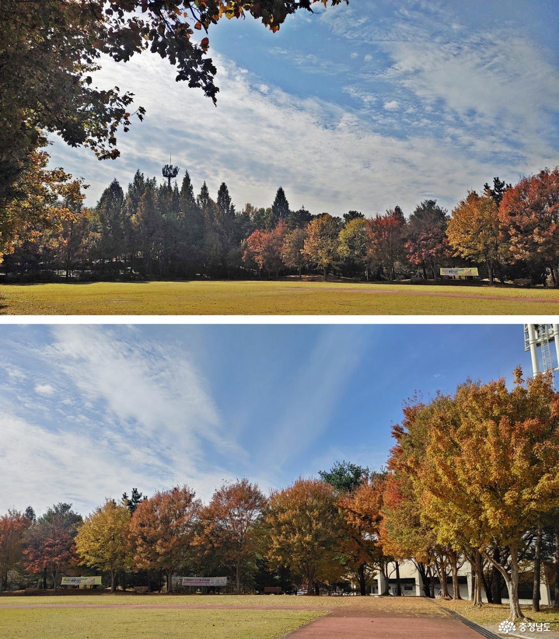 천안종합운동장 후문 쪽 가을풍경