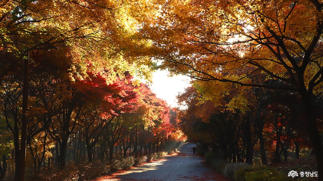 햇빛이 드는 곳과 그렇지 않은 곳의 명암차가 극명하다.