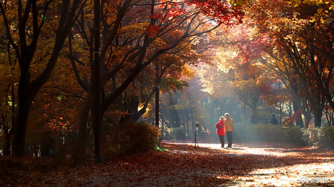 휴대폰 삼각대로 함께 사진을 찍는 두 분의 모습이 인상적이다.