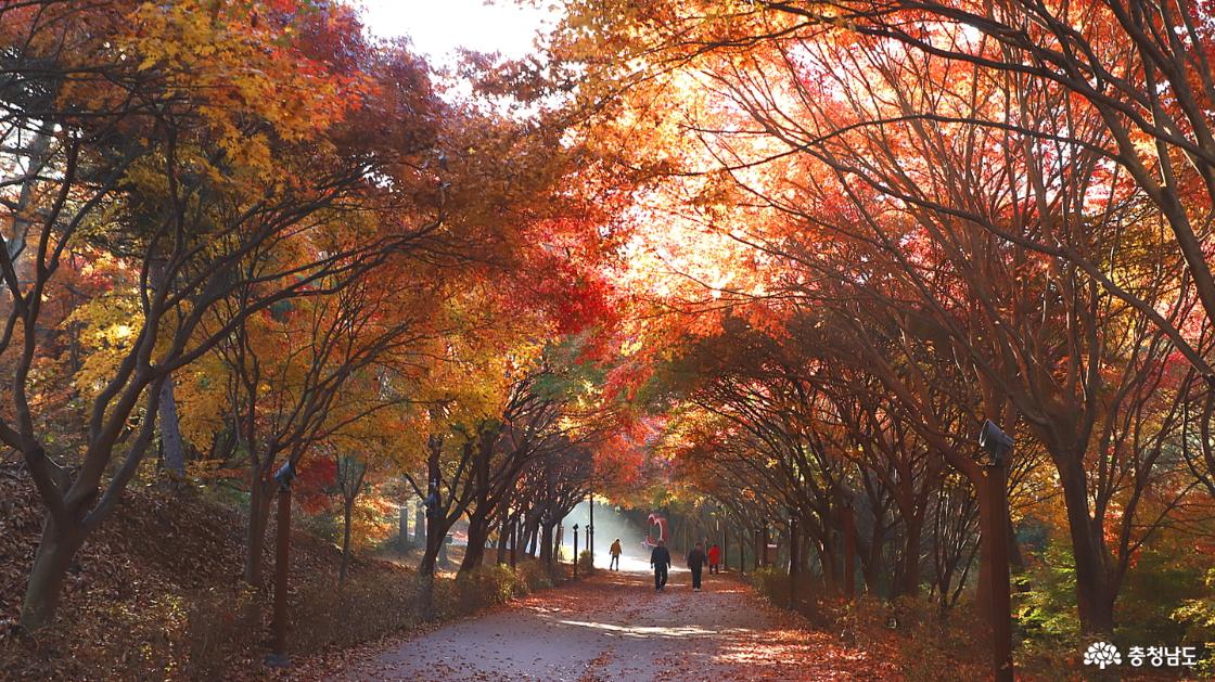 저 멀리 한 줌의 빛이 쏟아지는 모습이 예쁘다.