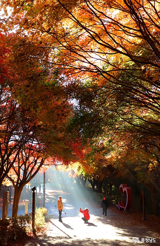 아름다운 풍경을 만나면 누구나 사진으로 남기고 싶어하는 것 같다.