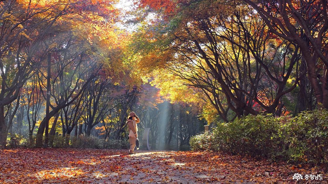 아내도 멋진 추억을 남기고 싶어한다.