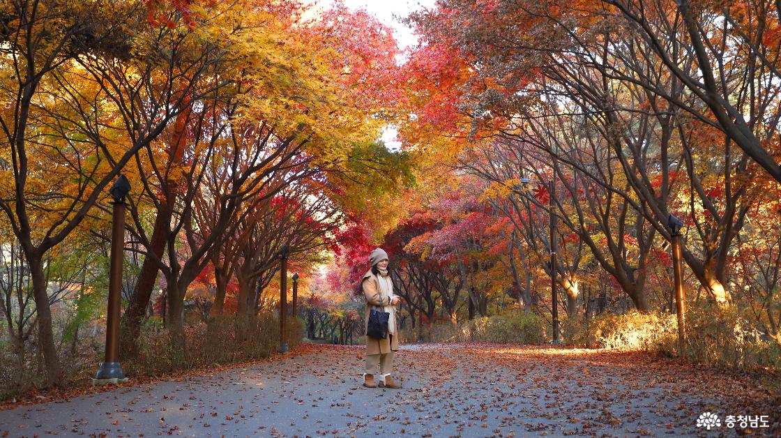 아름다운 단풍이 여심을 자극했니 보다