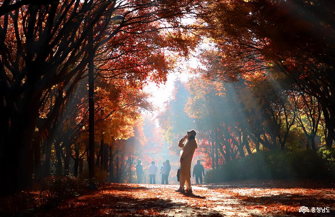 어디서 이런 풍경을 또 만날 수 있을까?