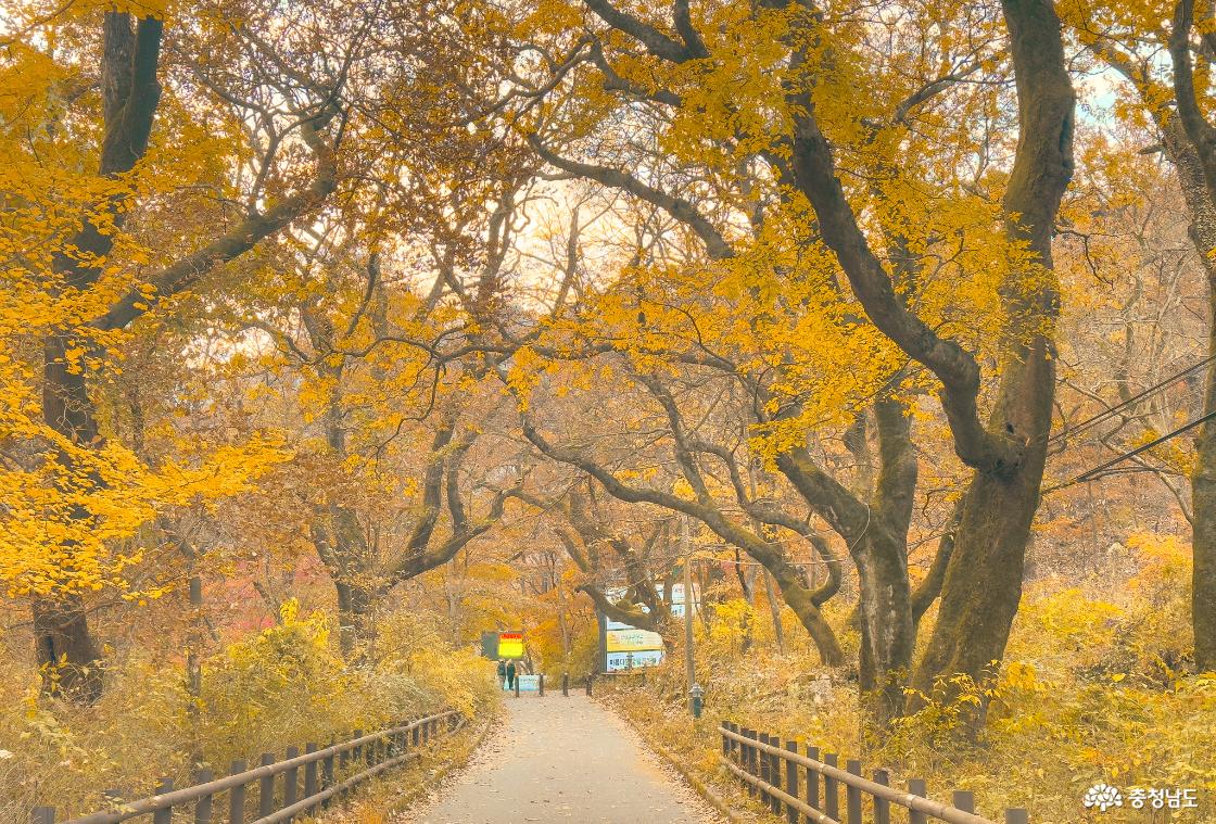 갑사코스 시작점