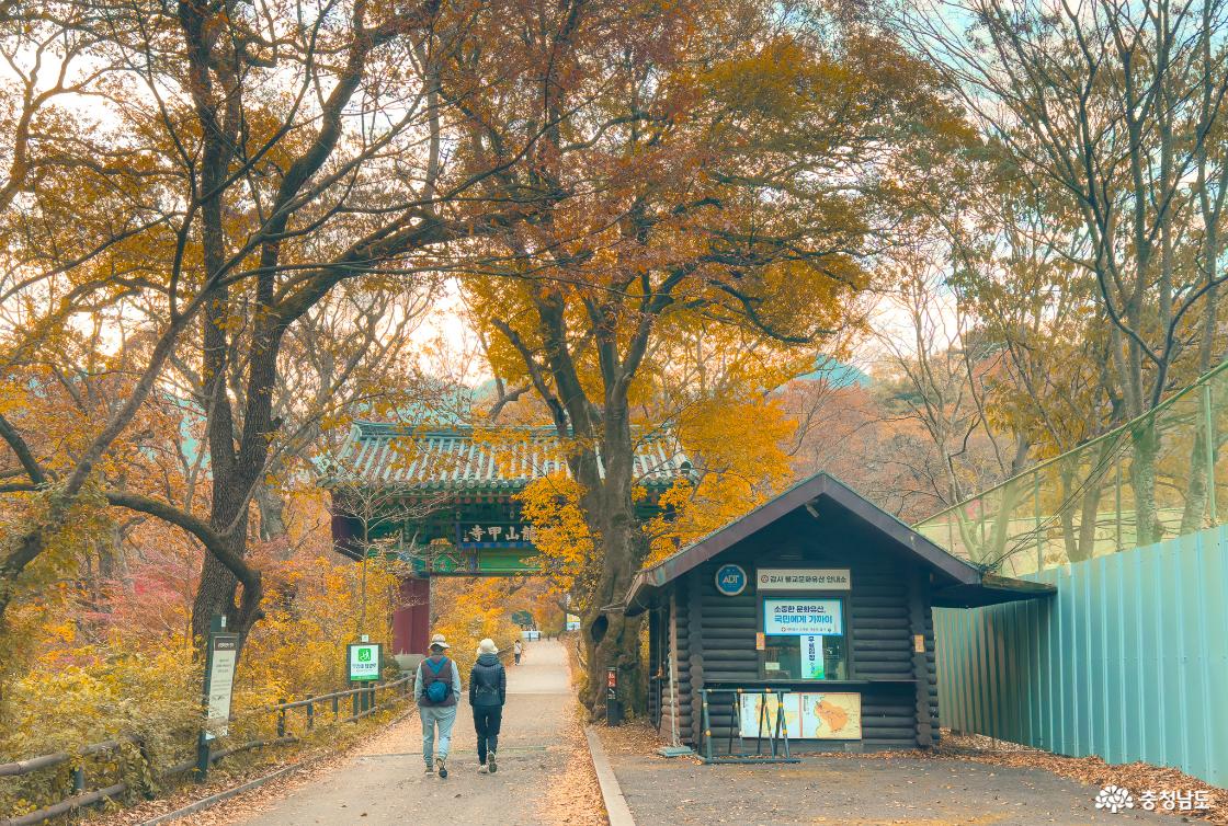갑사코스 입구 (무료입장)