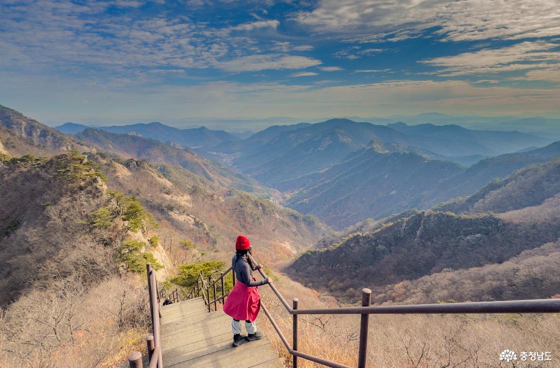 관음봉~금잔디고개 하산길 계단 구간 