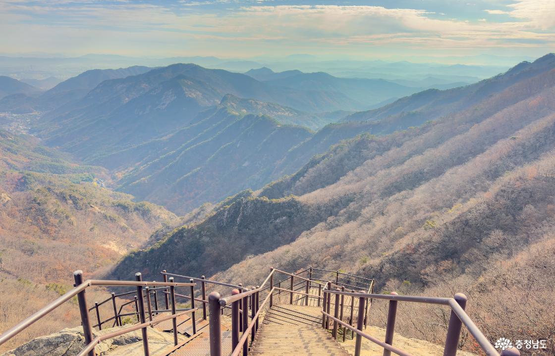 관음봉~금잔디고개 하산길 계단 구간 