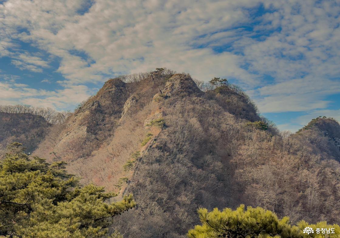 관음봉~금잔디고개 하산길 계단 