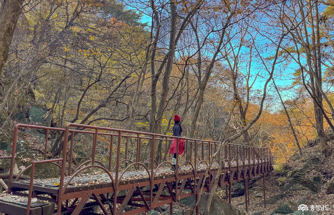 계룡산 하산길에 만나는 작은 다리 