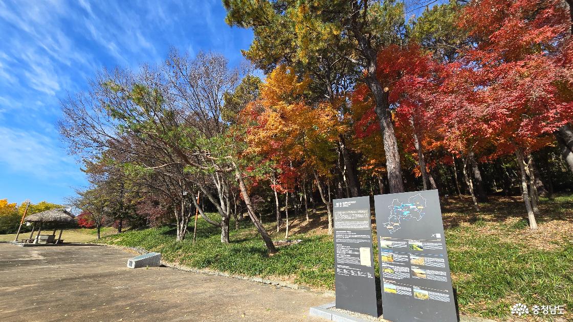부소산성 정문을 통과하면 단풍물이 드는 가을 세상이 펼쳐진다.
