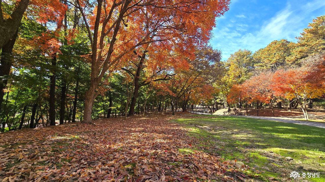 부소산의 낙엽을 밟으며 걷고 싶은 길