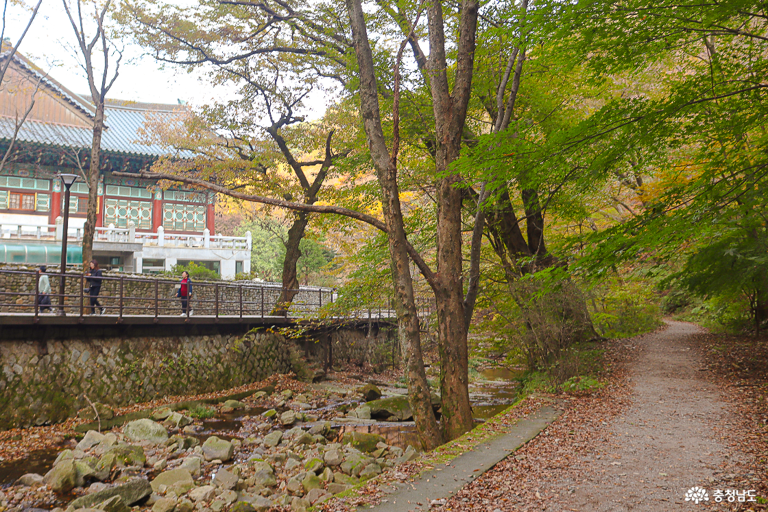 사찰로 가는 두 가지 길
