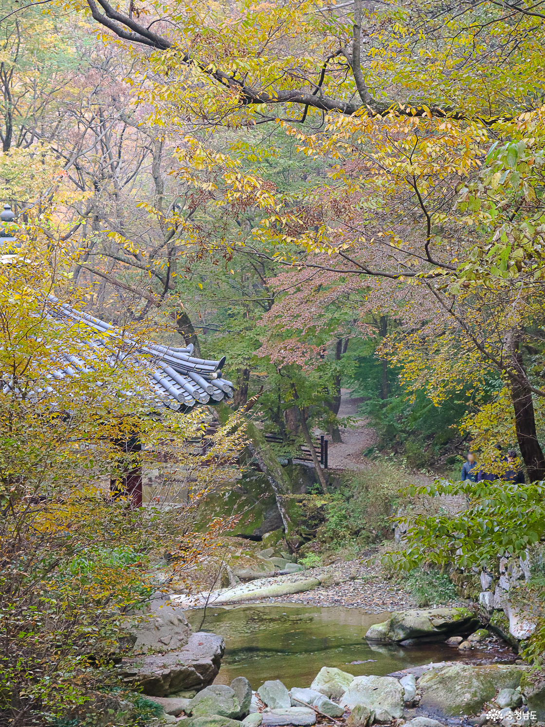 동학계곡 옛길에서 만난 풍경