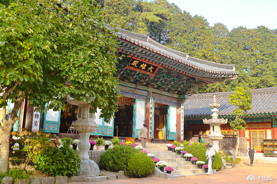 공주 동학사 전경1