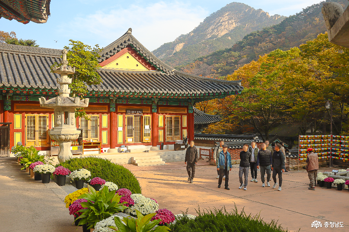 공주 동학사 전경2