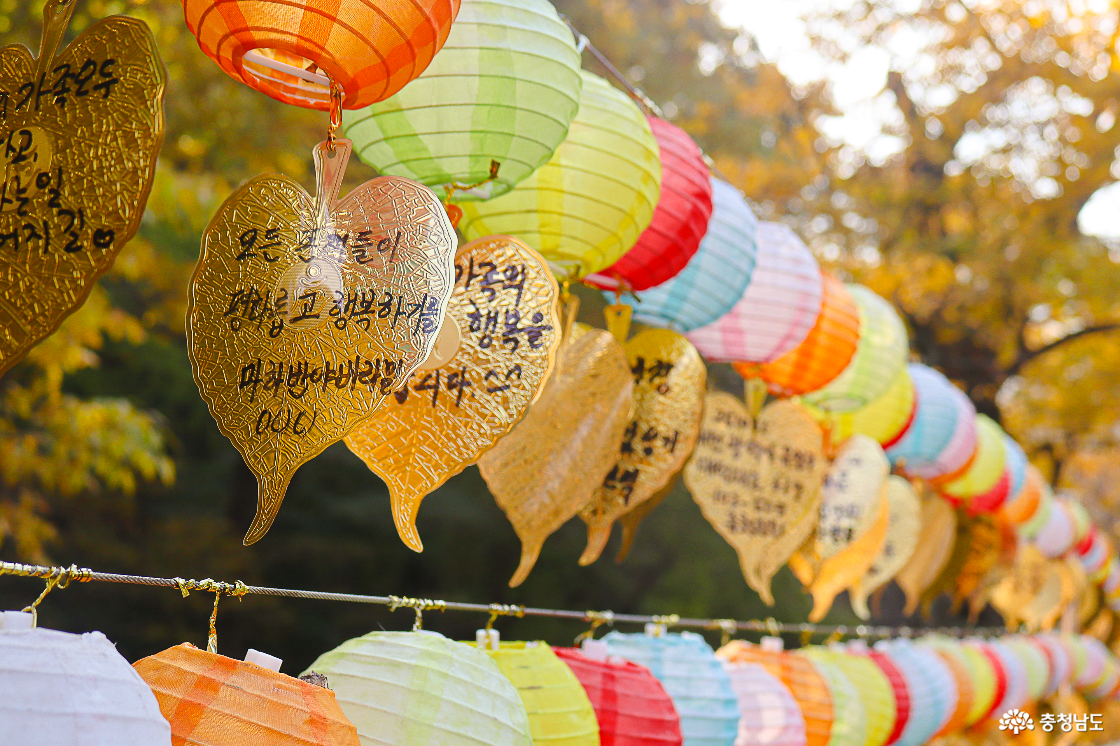 동학사 소원 나뭇잎