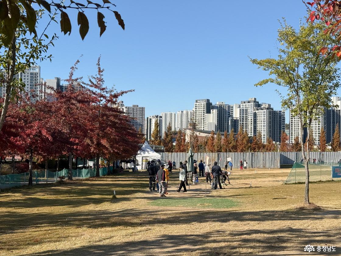 잔디 게이트볼장