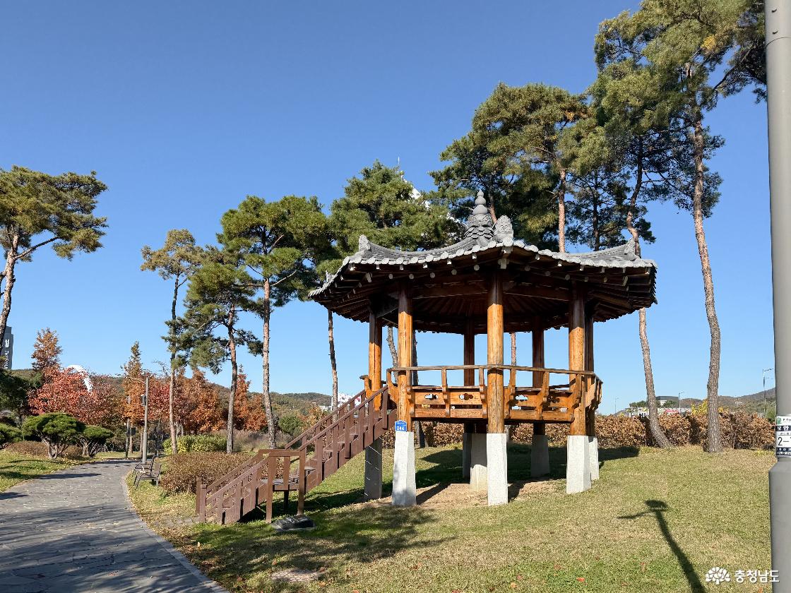 팔각정