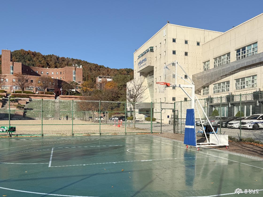 농구장