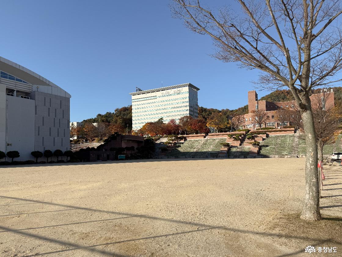 운동장