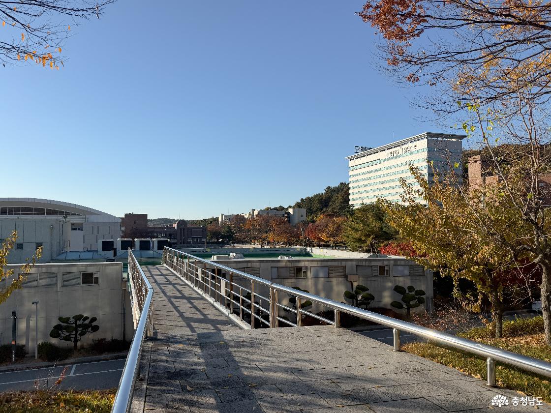 계양관 옥상과 연결된 산책로