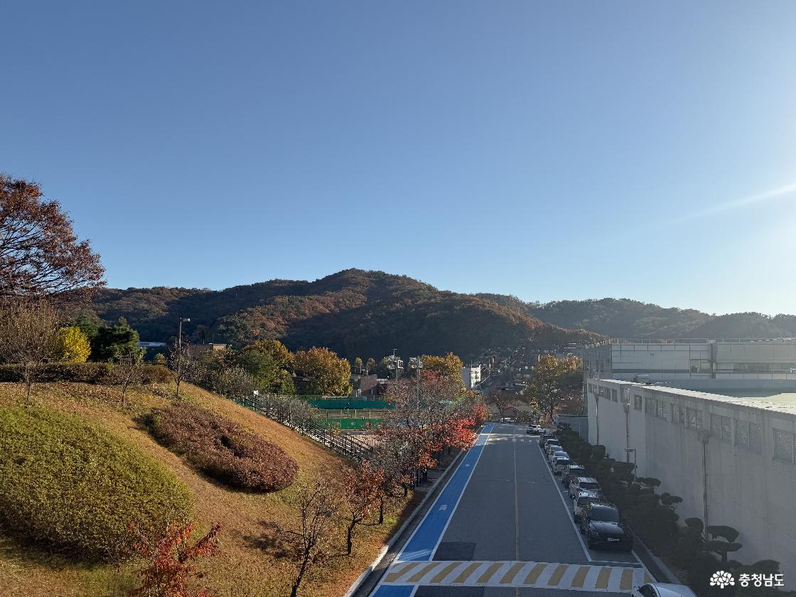 계양관 옥상 연결다리에서 바라본 캠퍼스 풍경