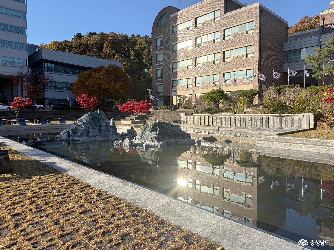 인공연못