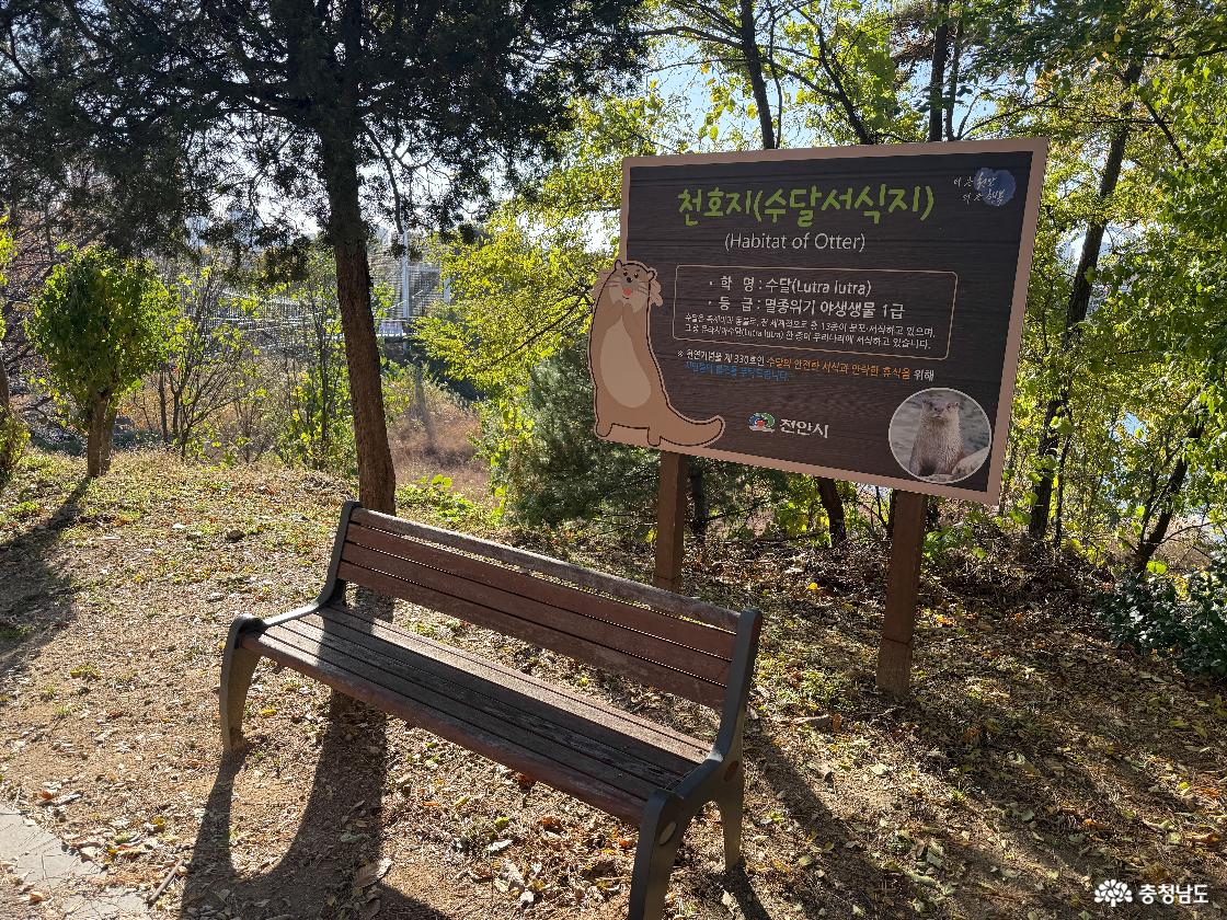 수달 서식지 안내