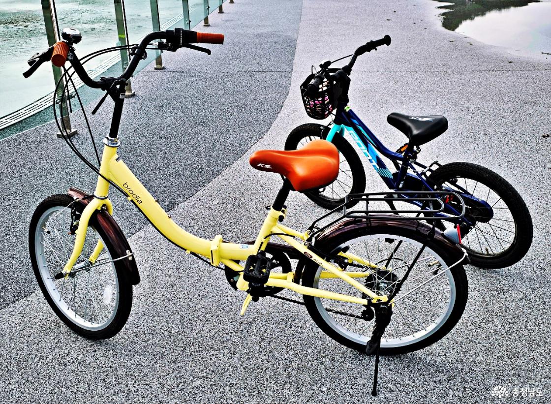 탄소중립 관련 사진