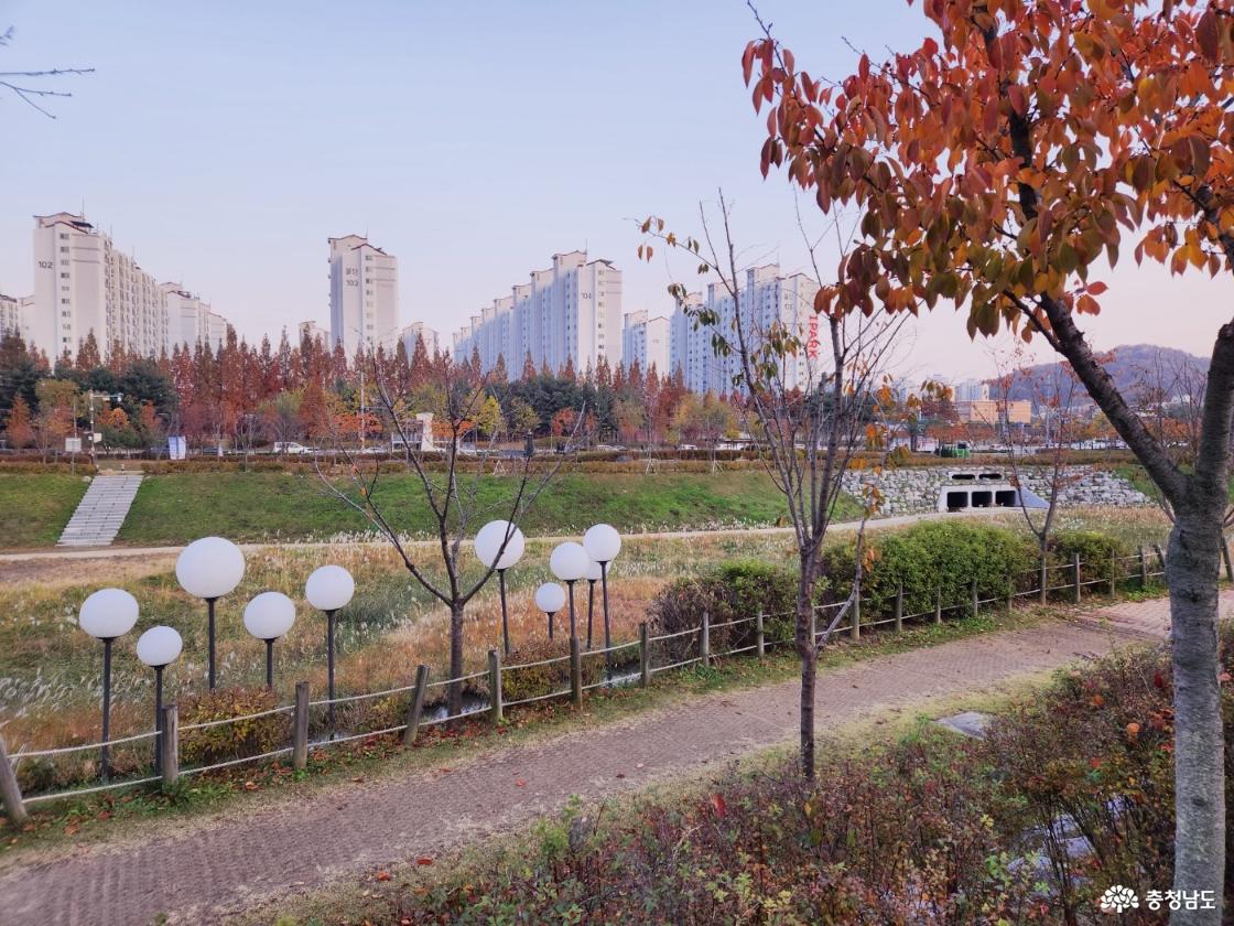 공원이미지