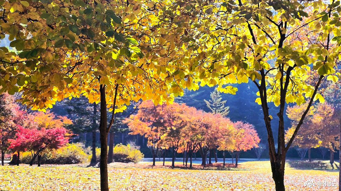 독립기념관 전경